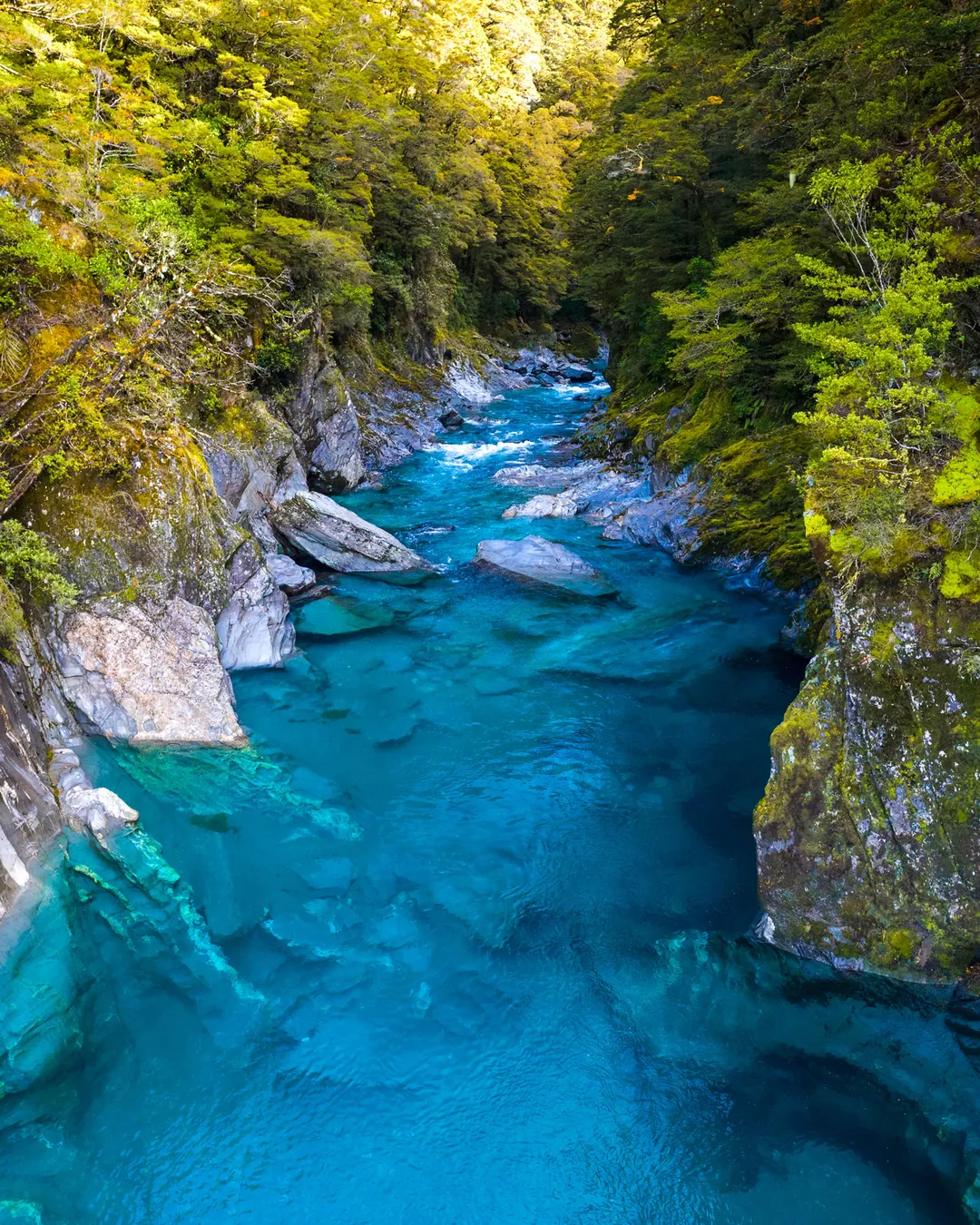 Blue Pools Haast Pass