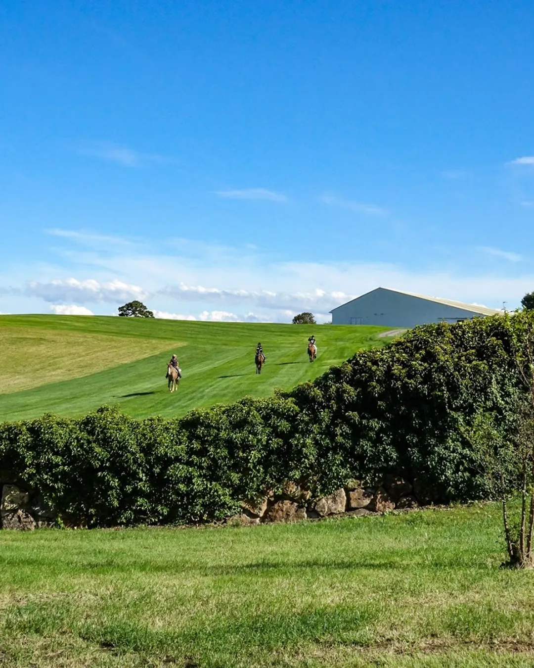 新品】ピクニックラグ| NASU Farm Village