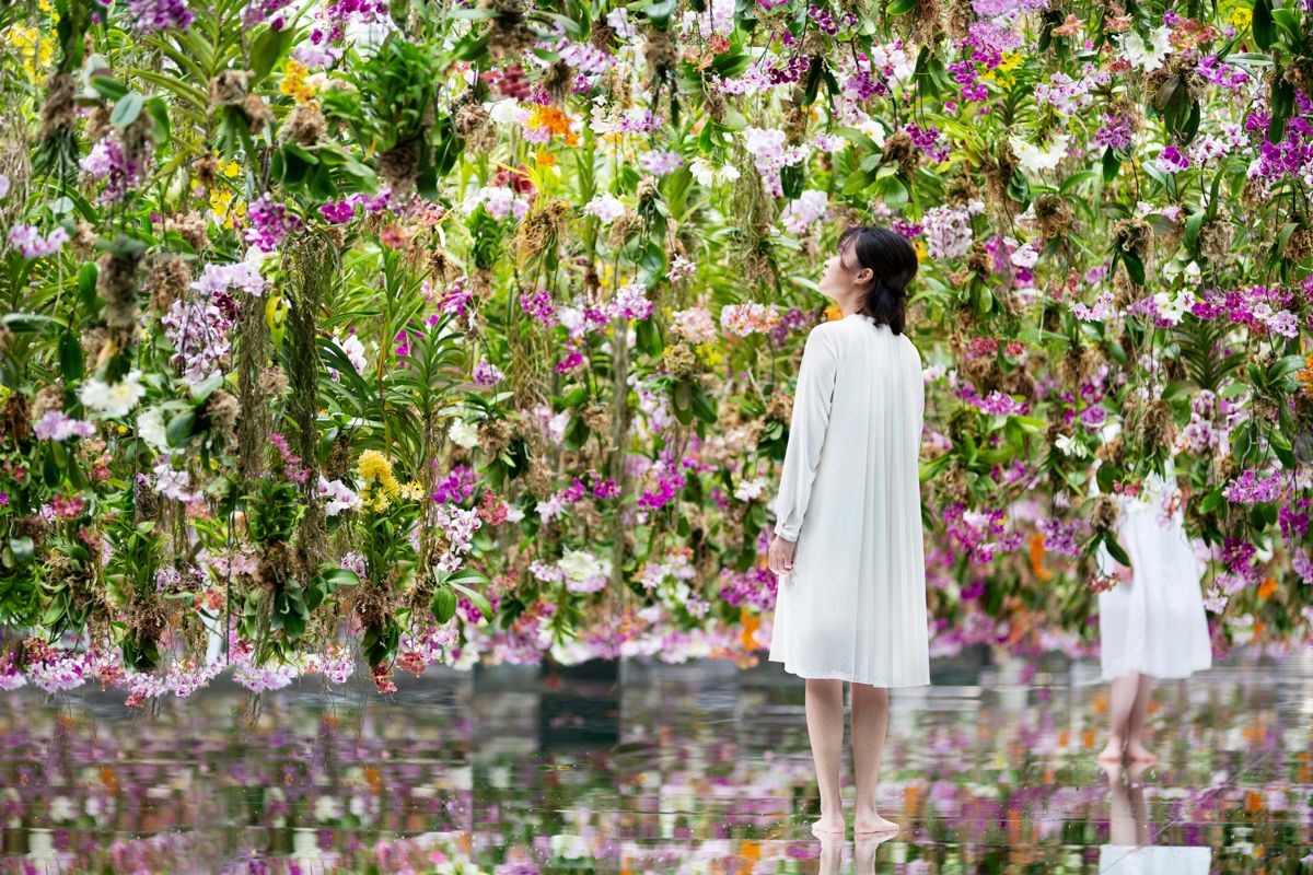 teamLab Planets Toyosu