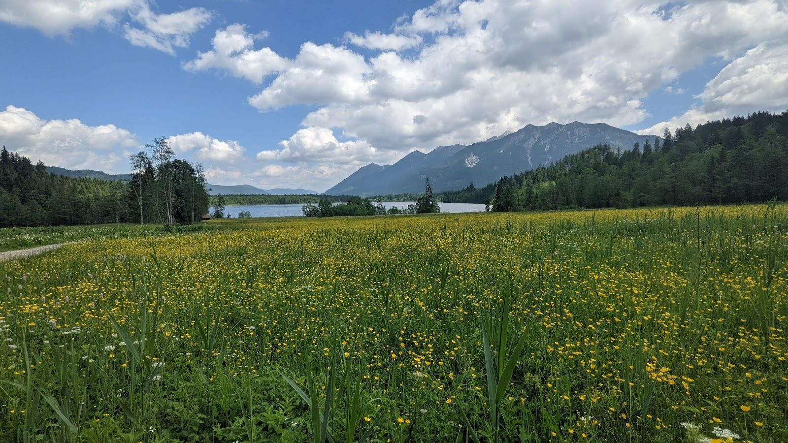 Geroldsee (Wagenbrüchsee)