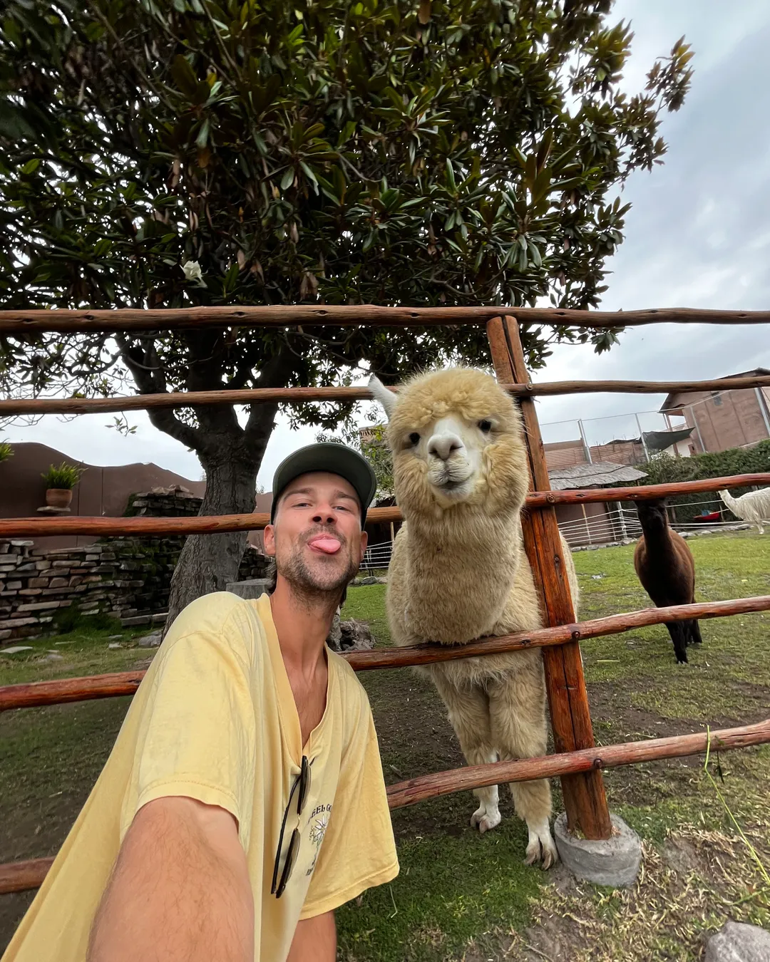 Mundo Alpaca