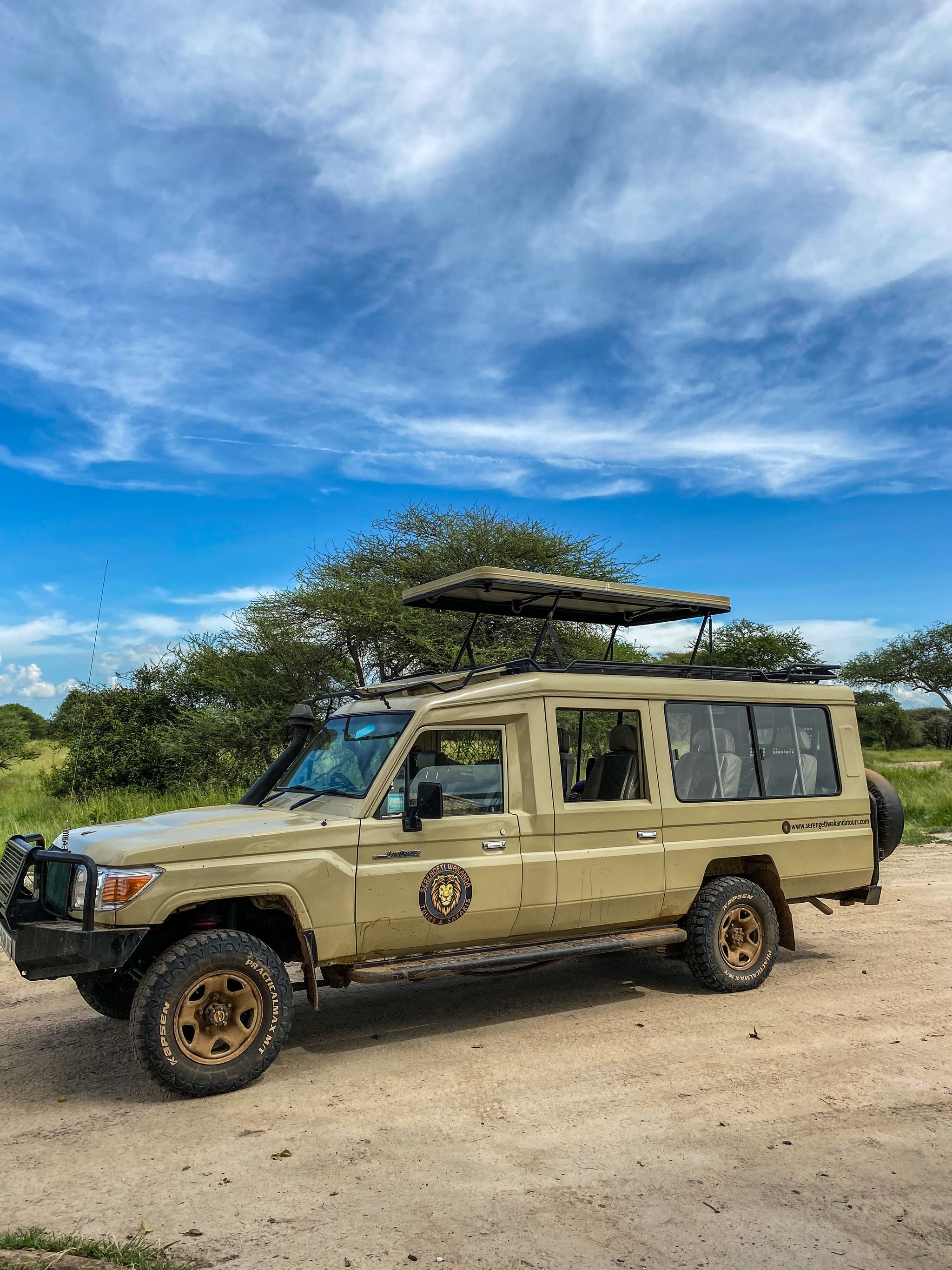 サファリランドとTYRセット