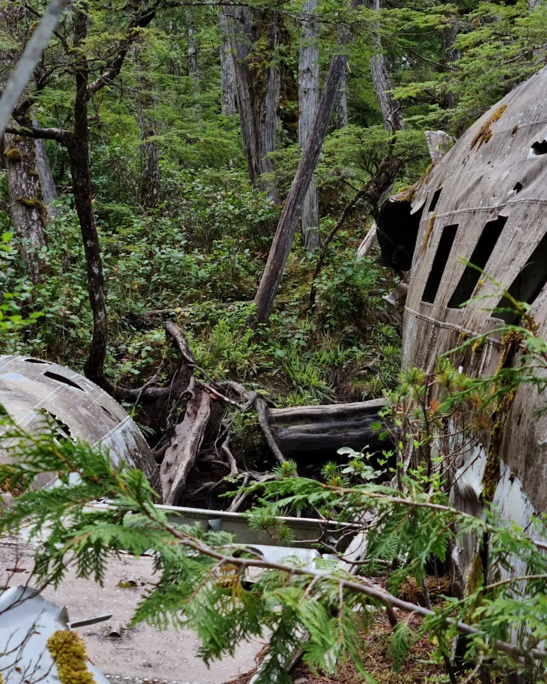 Dakota 576 Crash Site Trail - Vancouver Island, Canada - Rexby