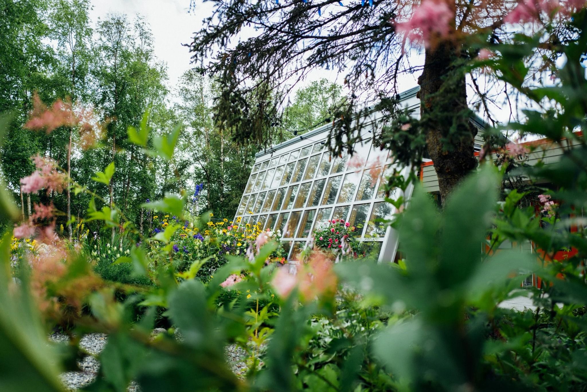 Alaska Botanical Garden