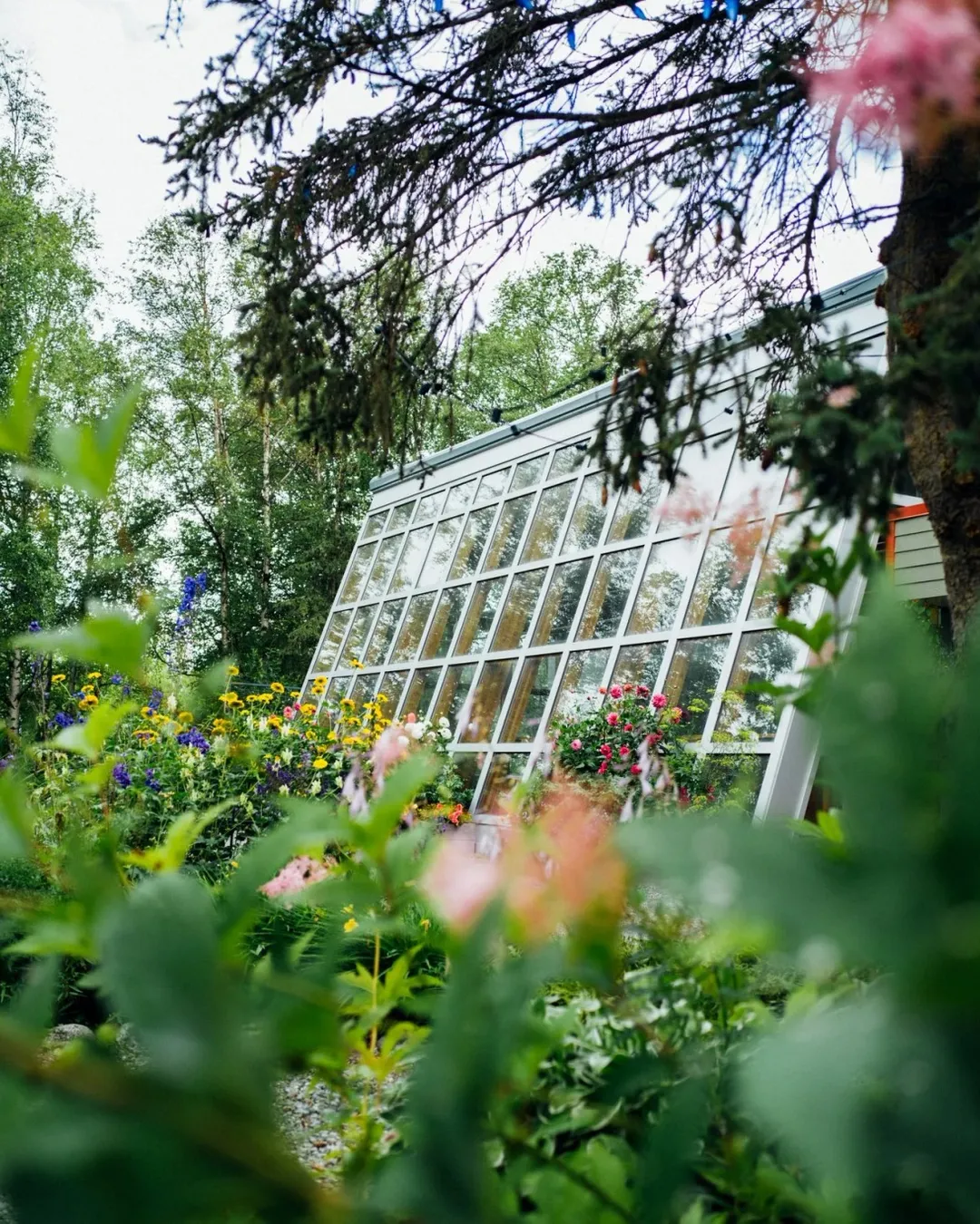 Alaska Botanical Garden