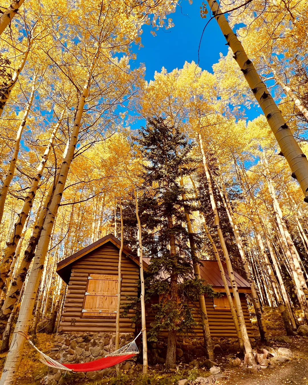 Mesa Lakes Cabins