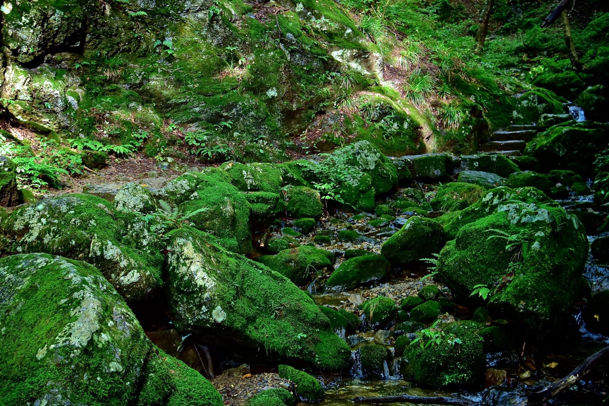 Mitake Rock Garden - Rural Travels, Japan - Rexby