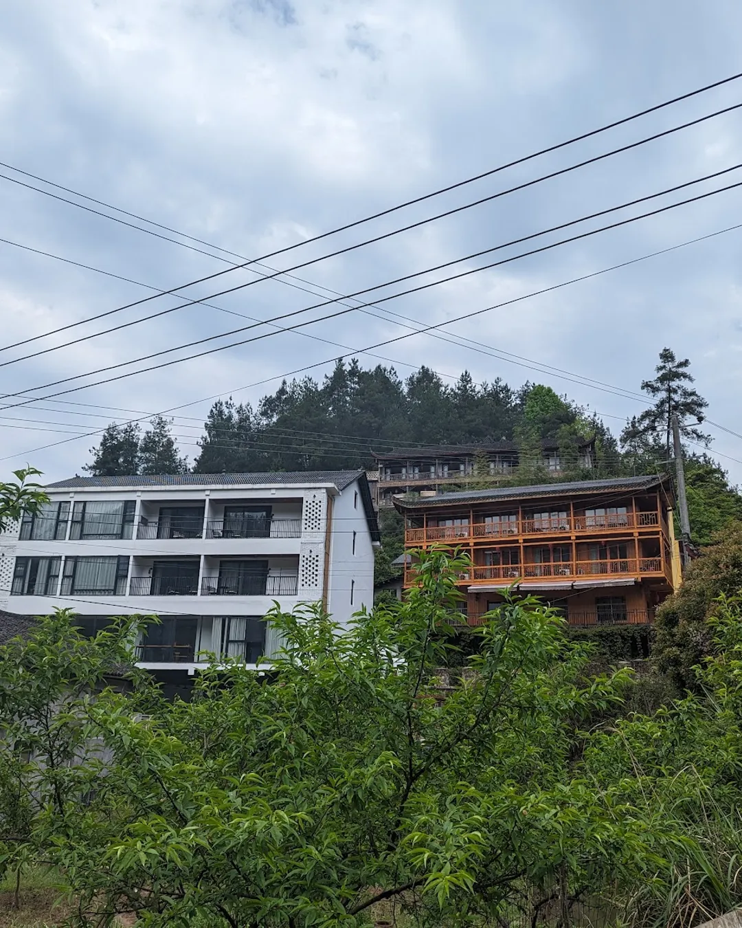 National Forest Park Mini Inn