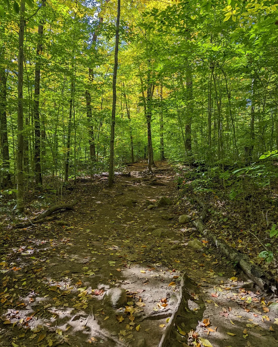 Rondaxe Fire Tower - Trailhead - Upstate New York, United