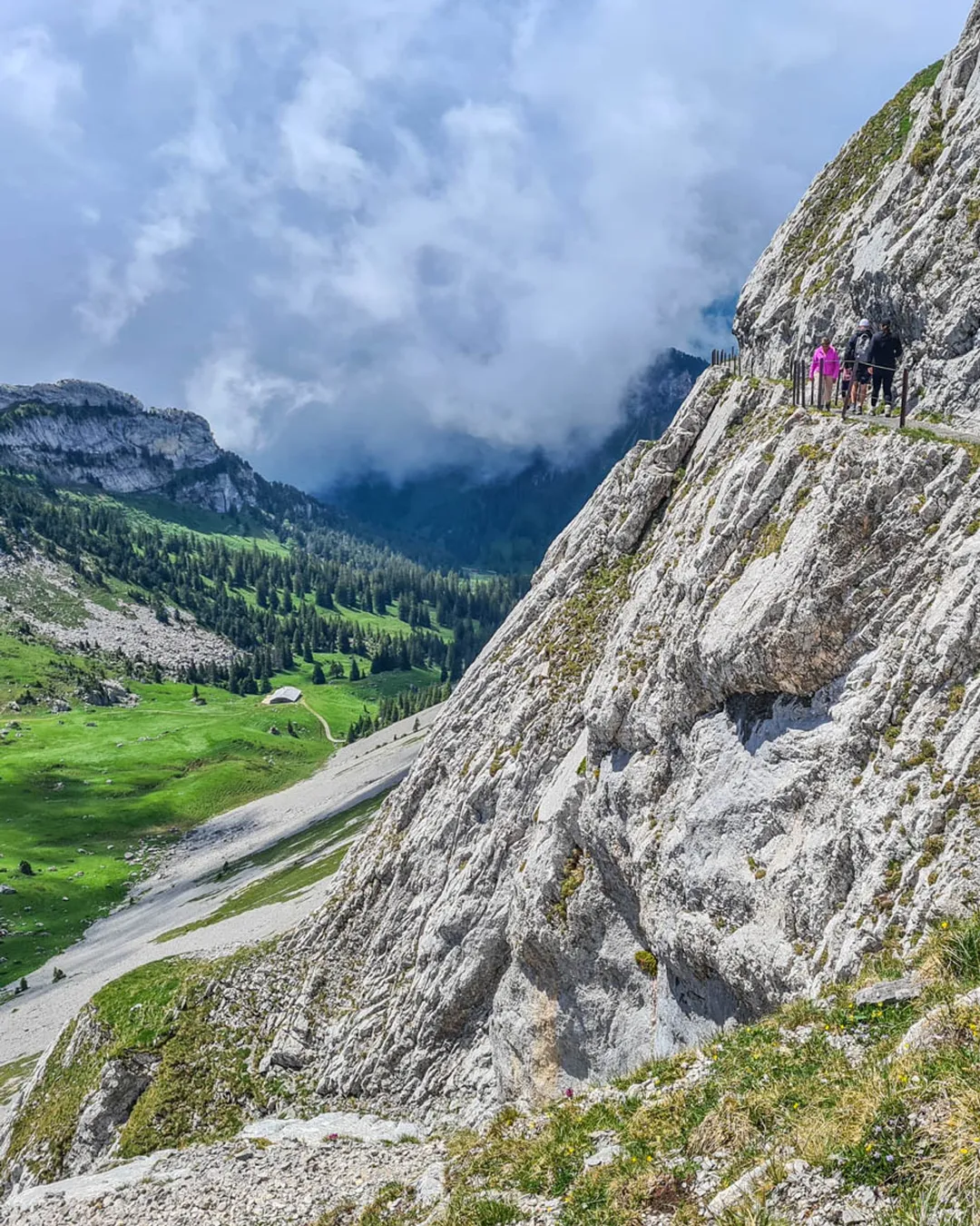 Tomlishorn Peak Hike