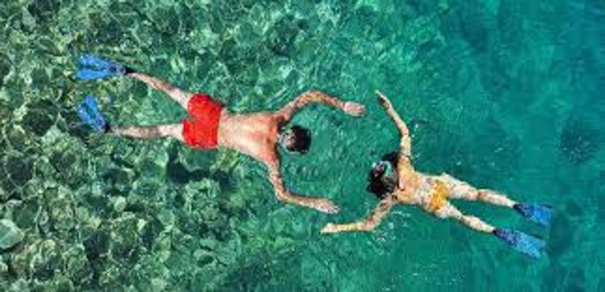 3.5 Hour Kayak & Snorkeling Tour