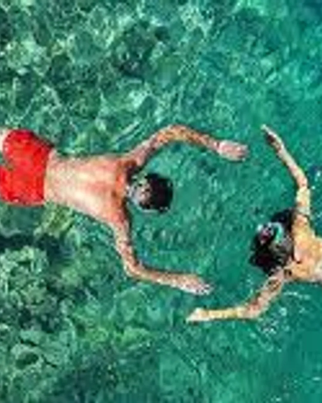 3.5 Hour Kayak & Snorkeling Tour