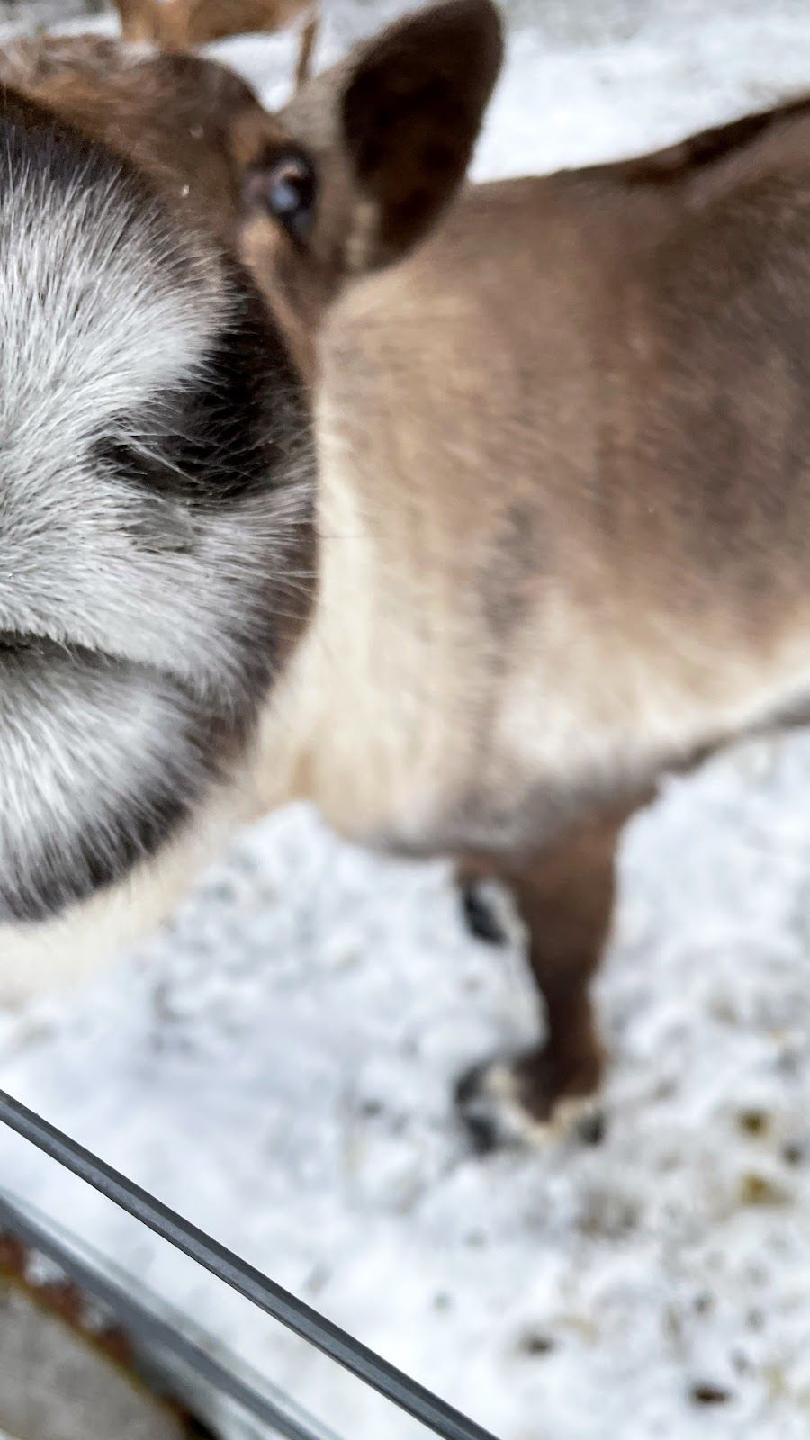 Domaine le coulairon