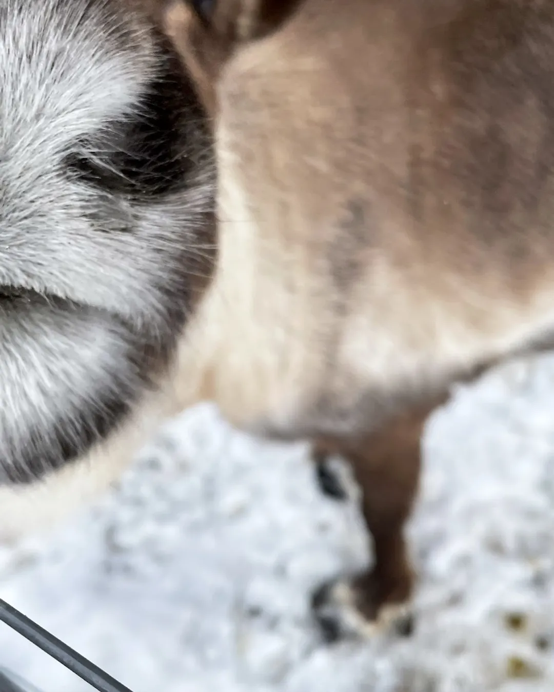 Domaine le coulairon