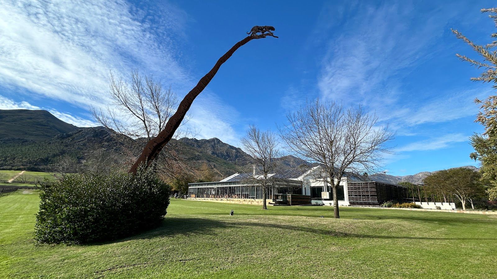 Leopard’s Leap Restaurant & Wine Farm