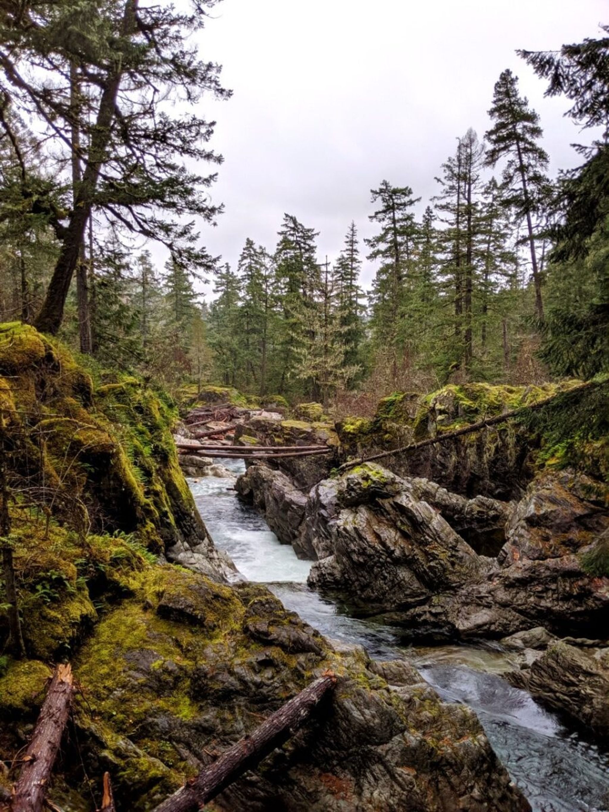Little Qualicum Falls Provincial Park