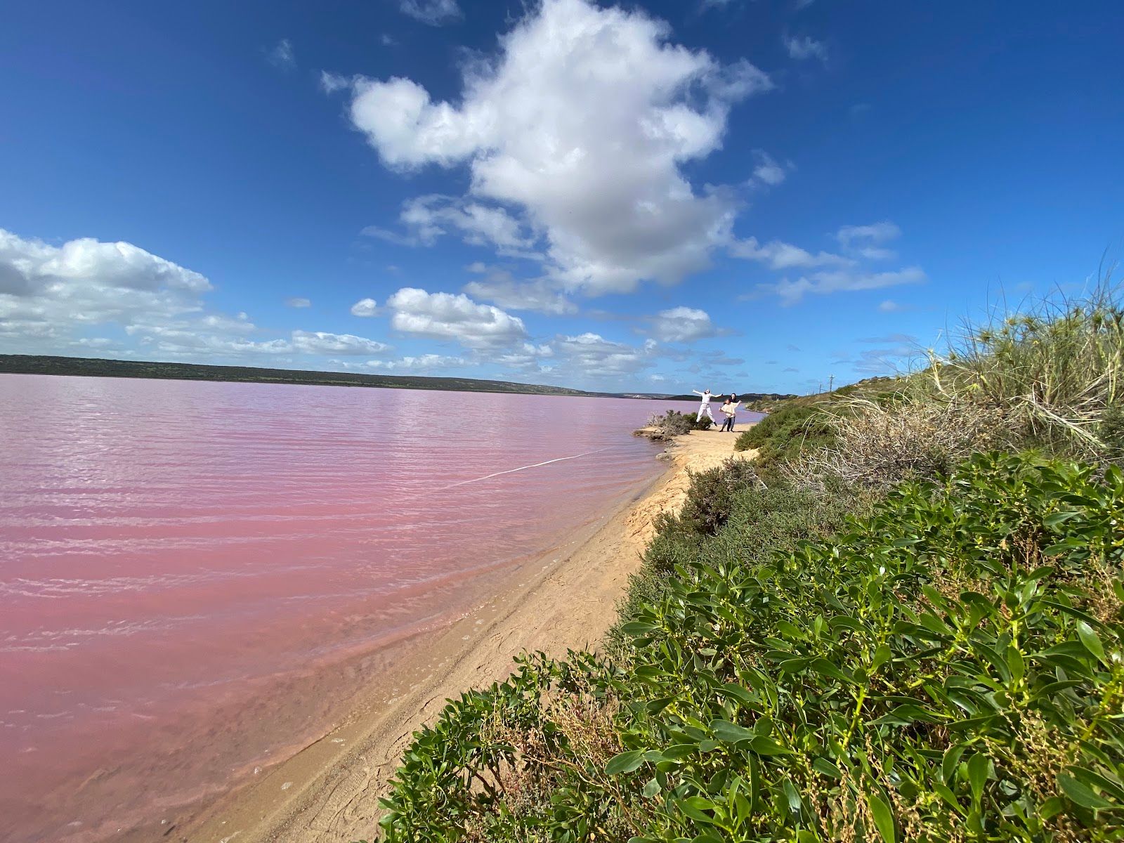 Pink Lake Lookout