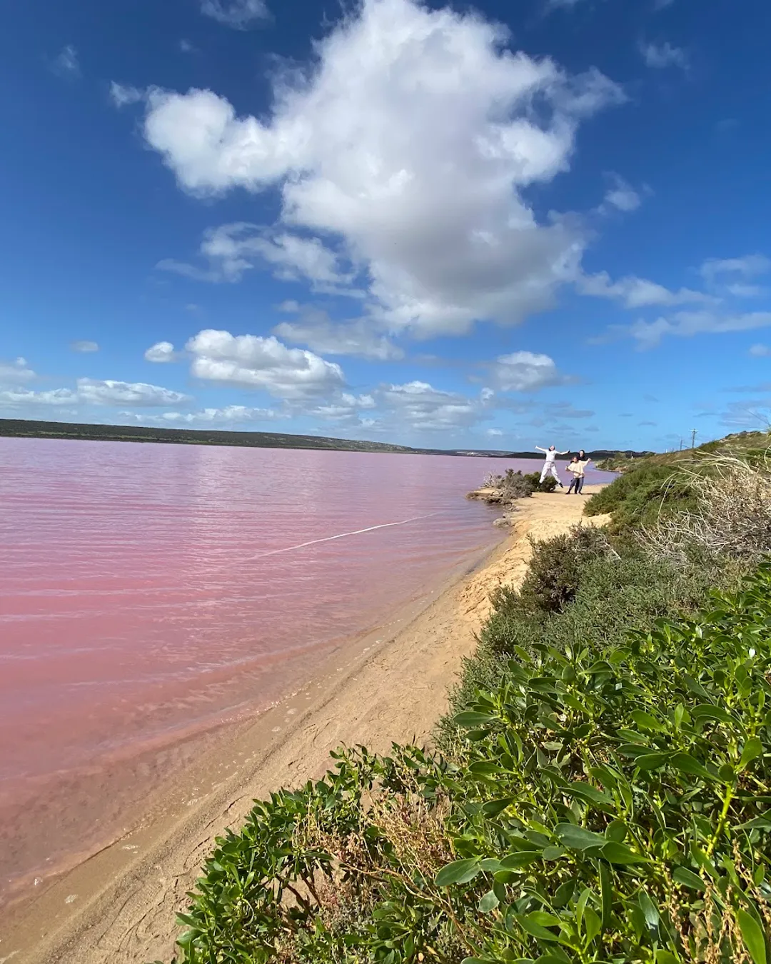 Pink Lake Lookout