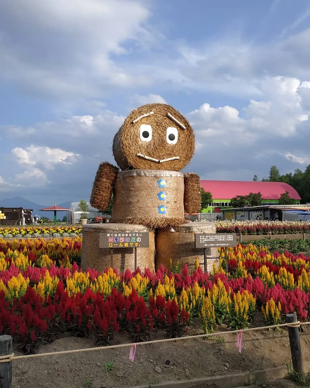 Panoramic Flower Gardens Shikisai-no-oka - Rural Travels, Japan