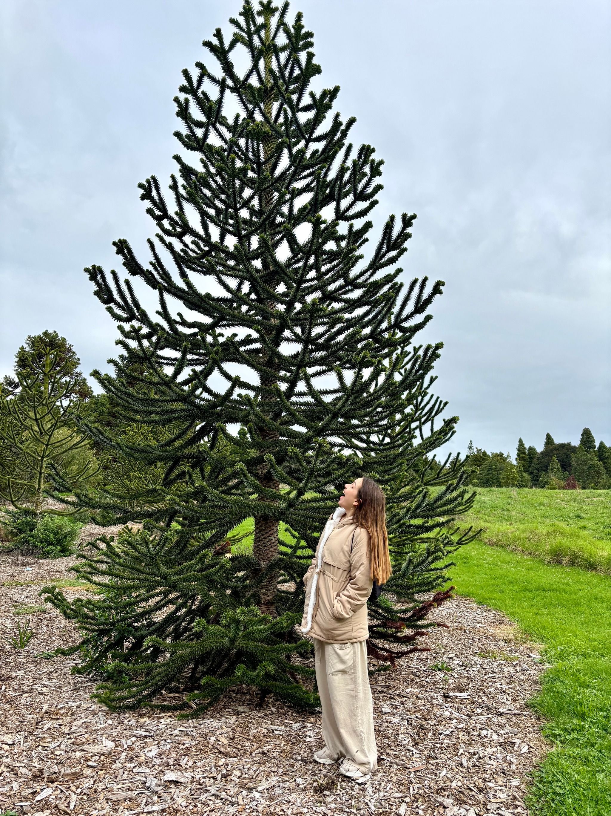 Auckland Botanic Gardens