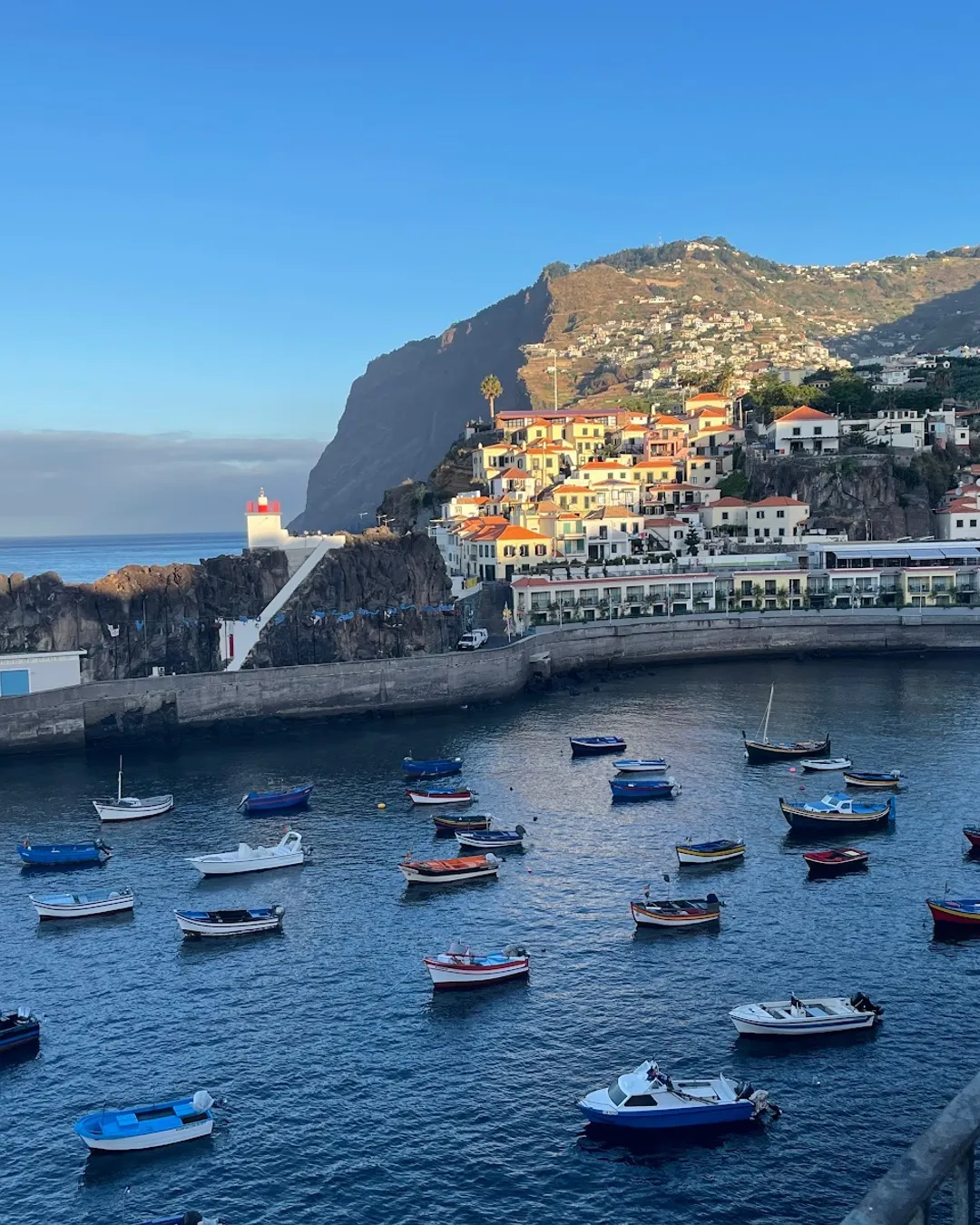 Baía de Câmara de Lobos