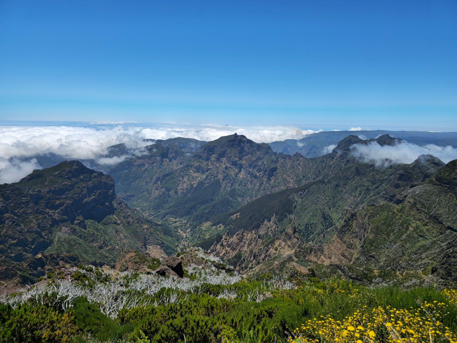 PR 1.2 - Vereda do Pico Ruivo