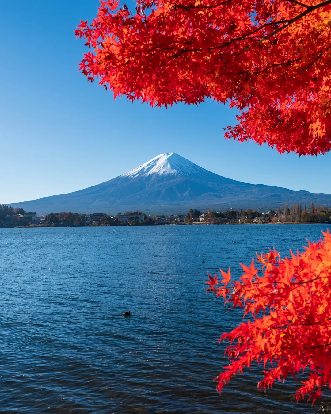 Lago Kawaguchi