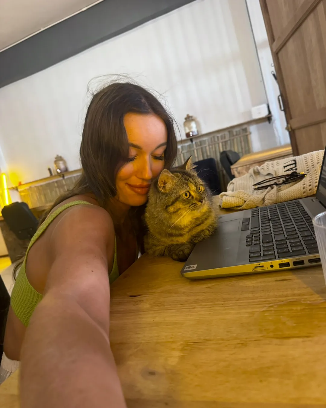 Cats Cafe | Samui Coffee & Co-Working
