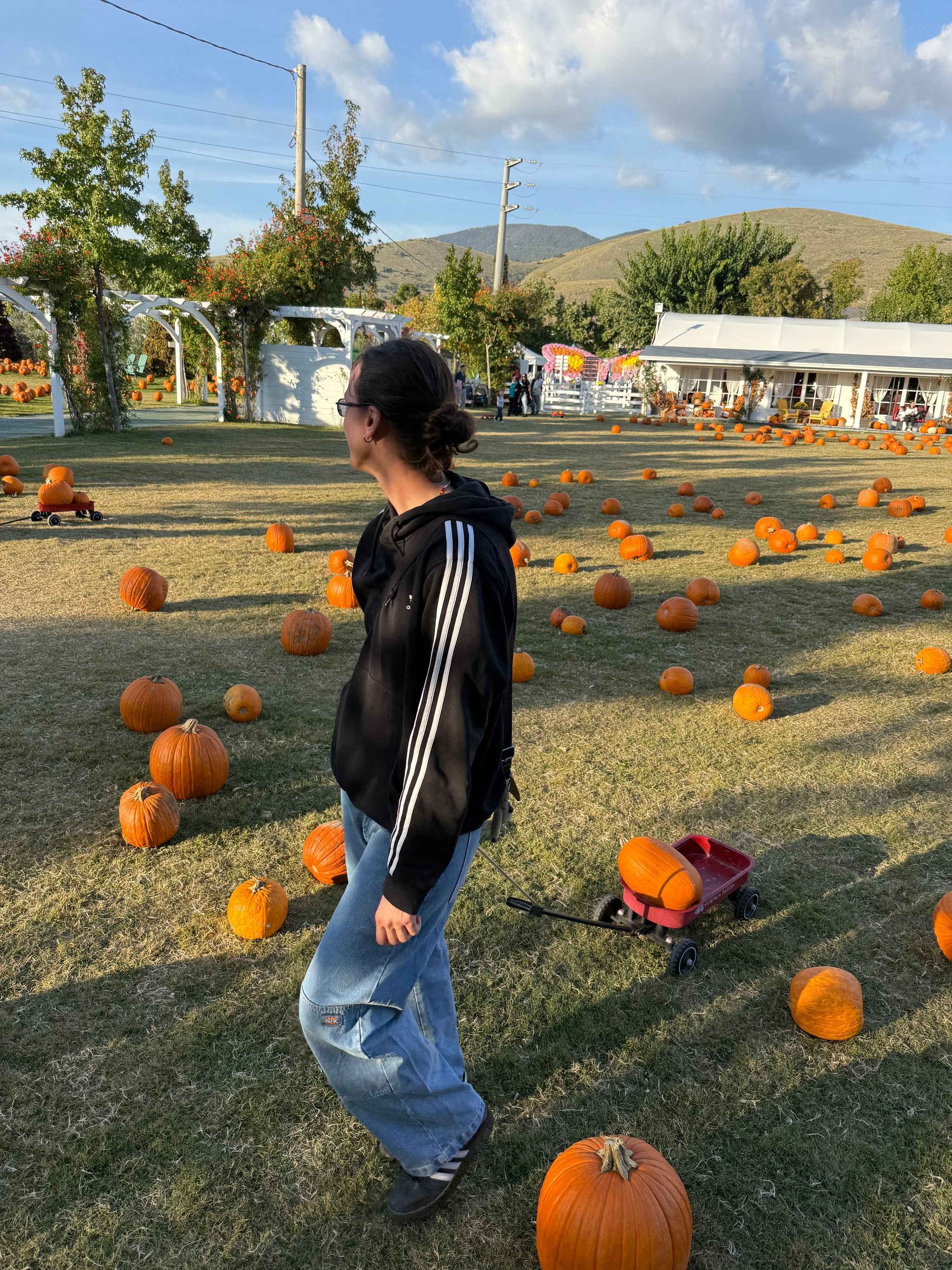 Il Giardino Delle Zucche - Pumpkin Patch