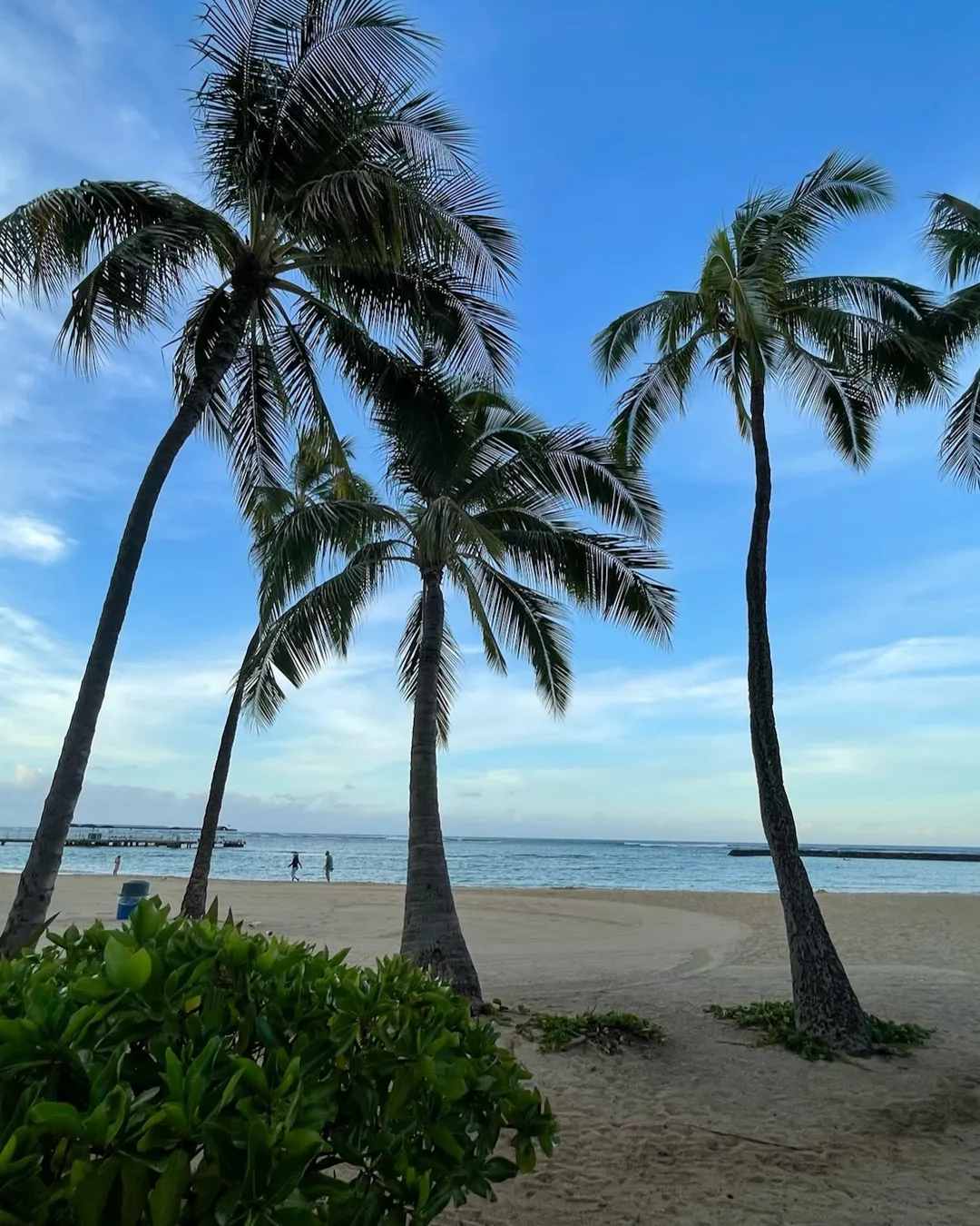Kahanamoku Beach