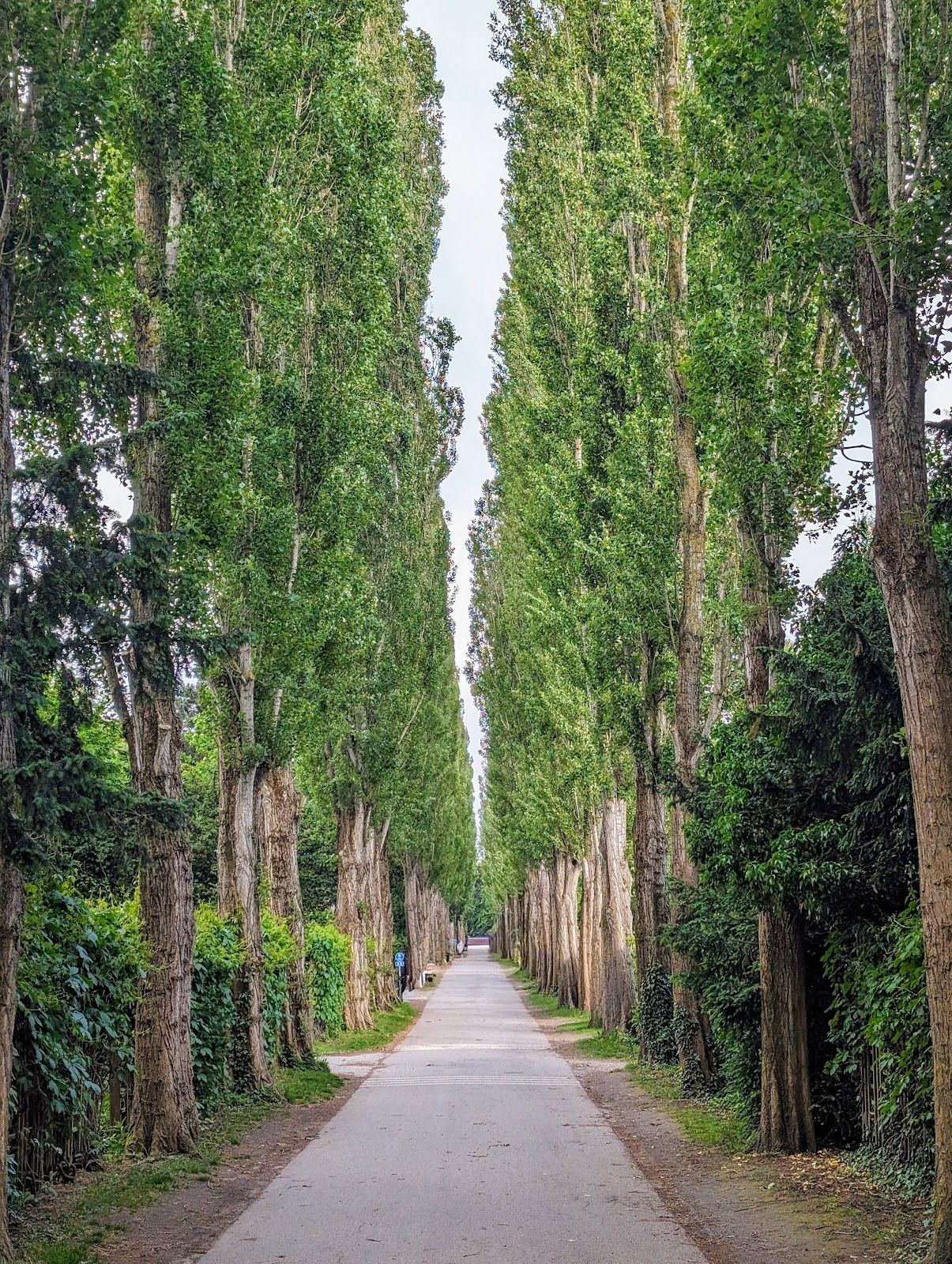 Assistens Cemetery