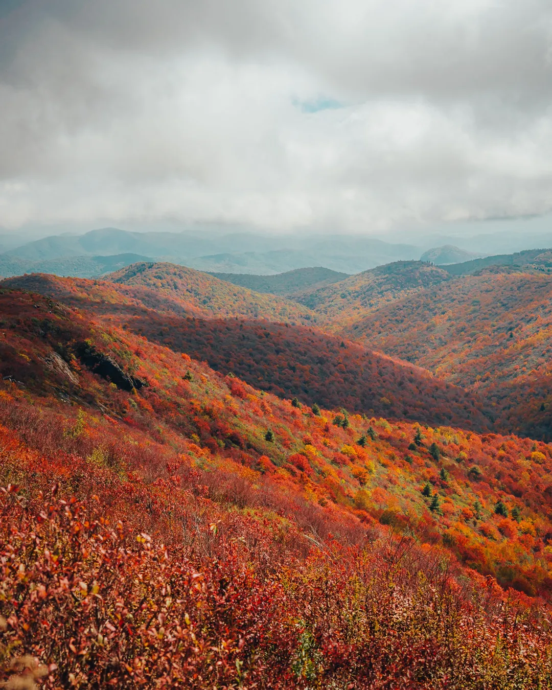 Tennent Mountain