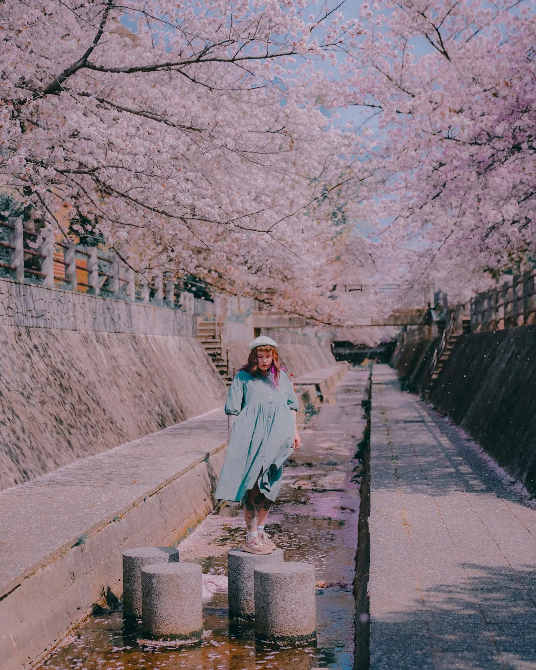 一本松川緑道の桜並木 - Japan - Rexby