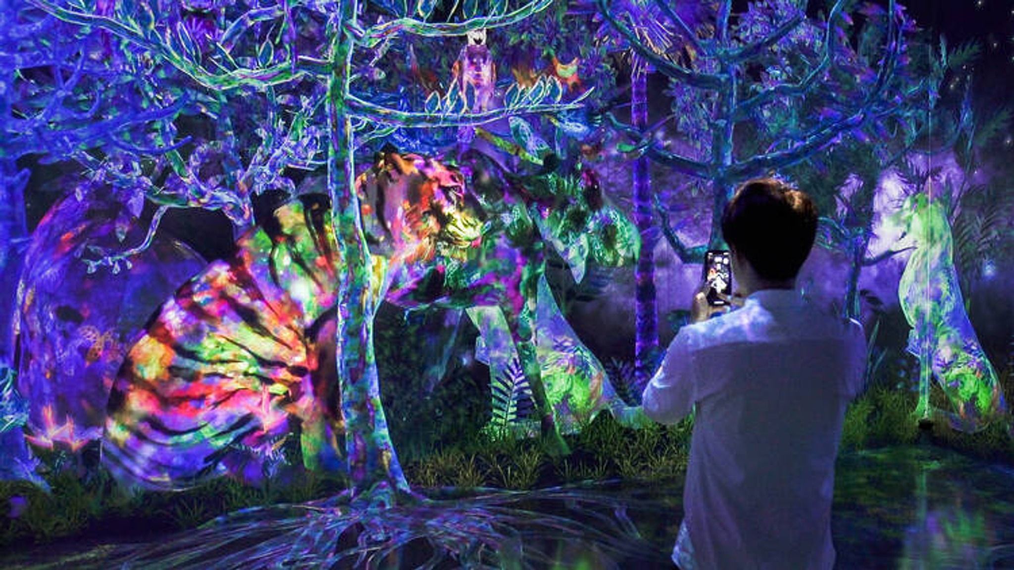 Mr. Doodle x Galaxy Galaxy Harajuku、東京 Galaxy x Mr. Doodle Galaxy Harajuku、東京