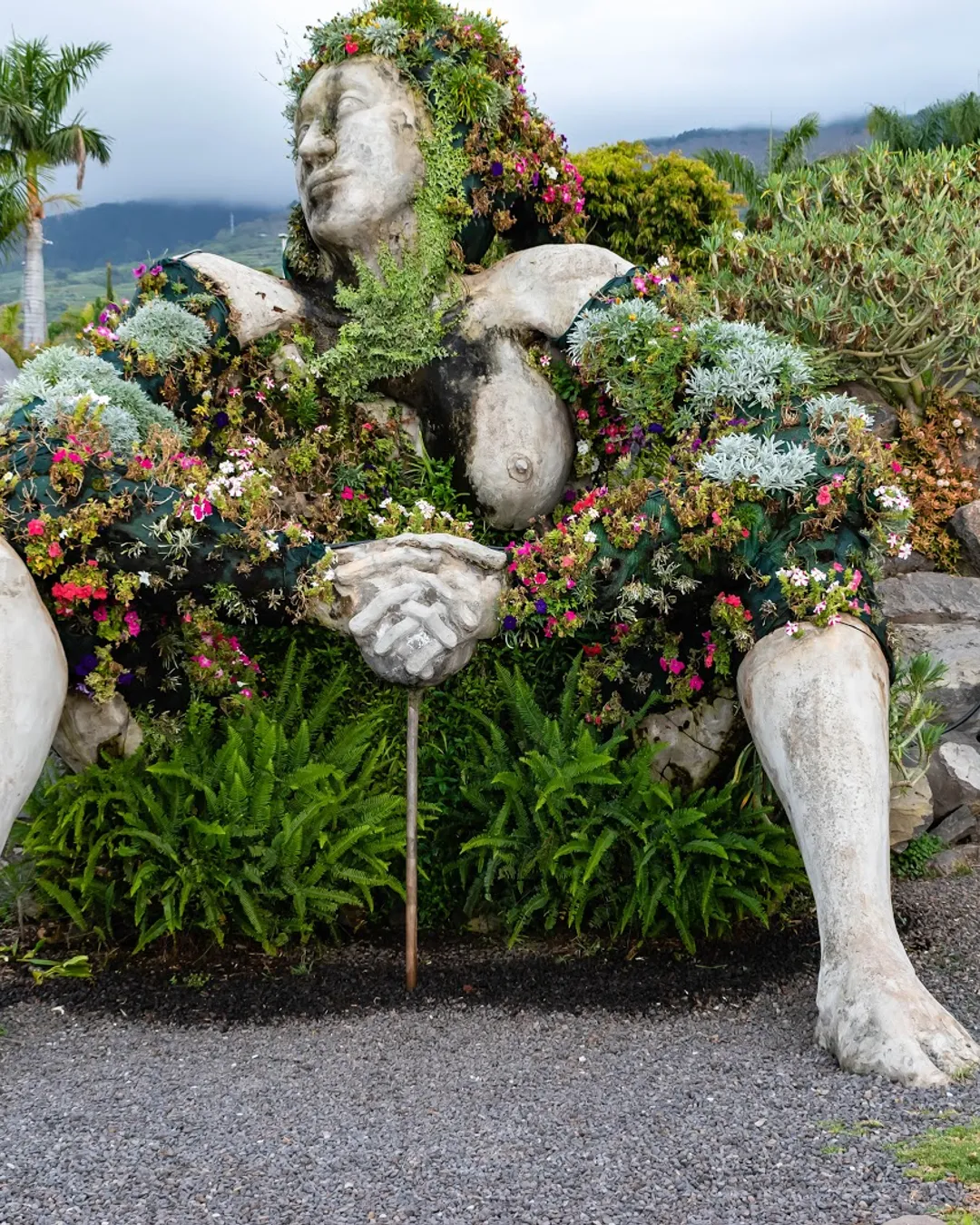 Jardín Social La Quinta Garden