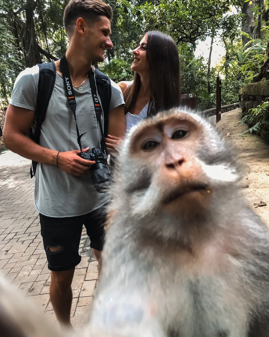 Monkey Forest