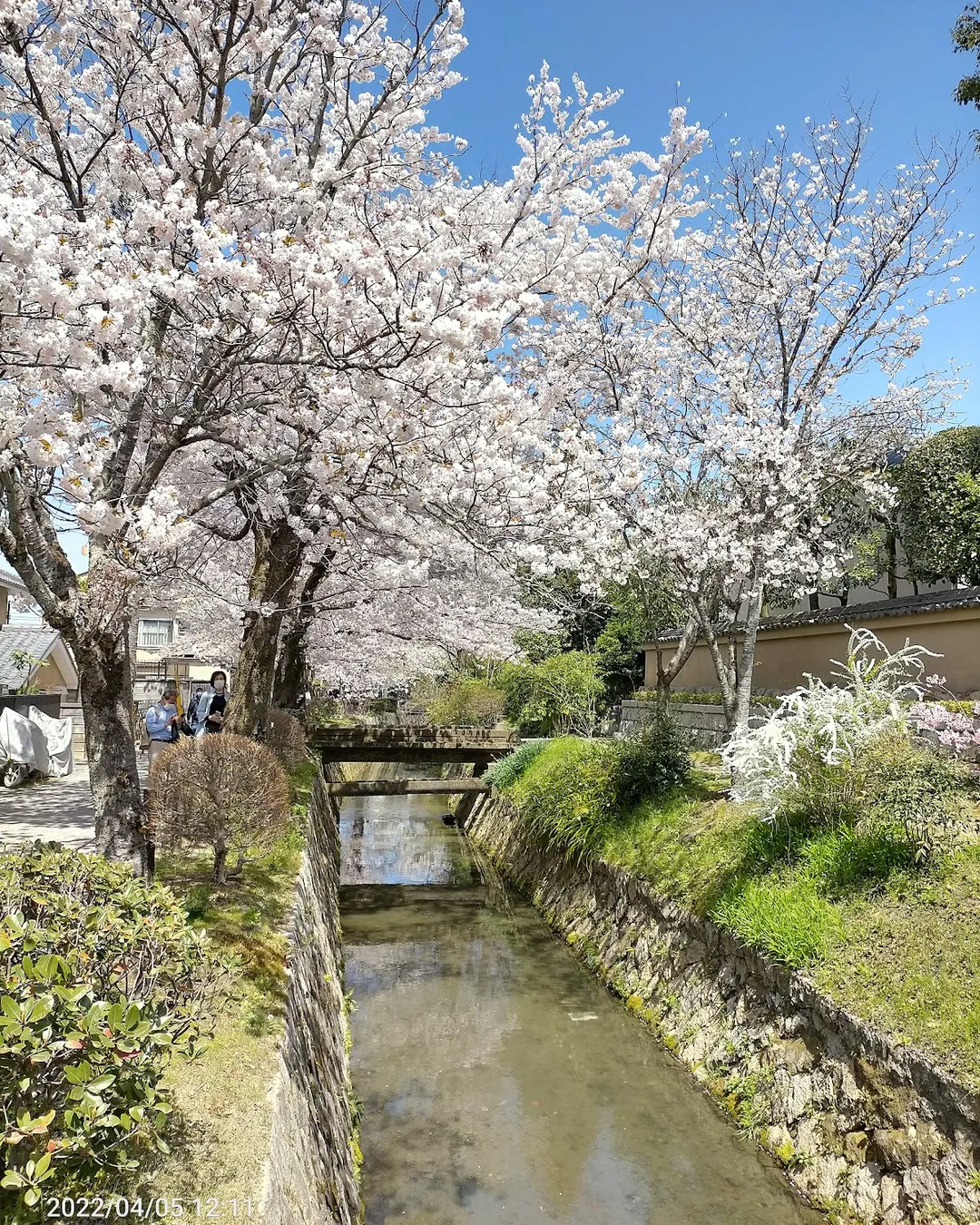 Sanneizaka - Japan - Rexby Sanneizaka - Japan - Rexby