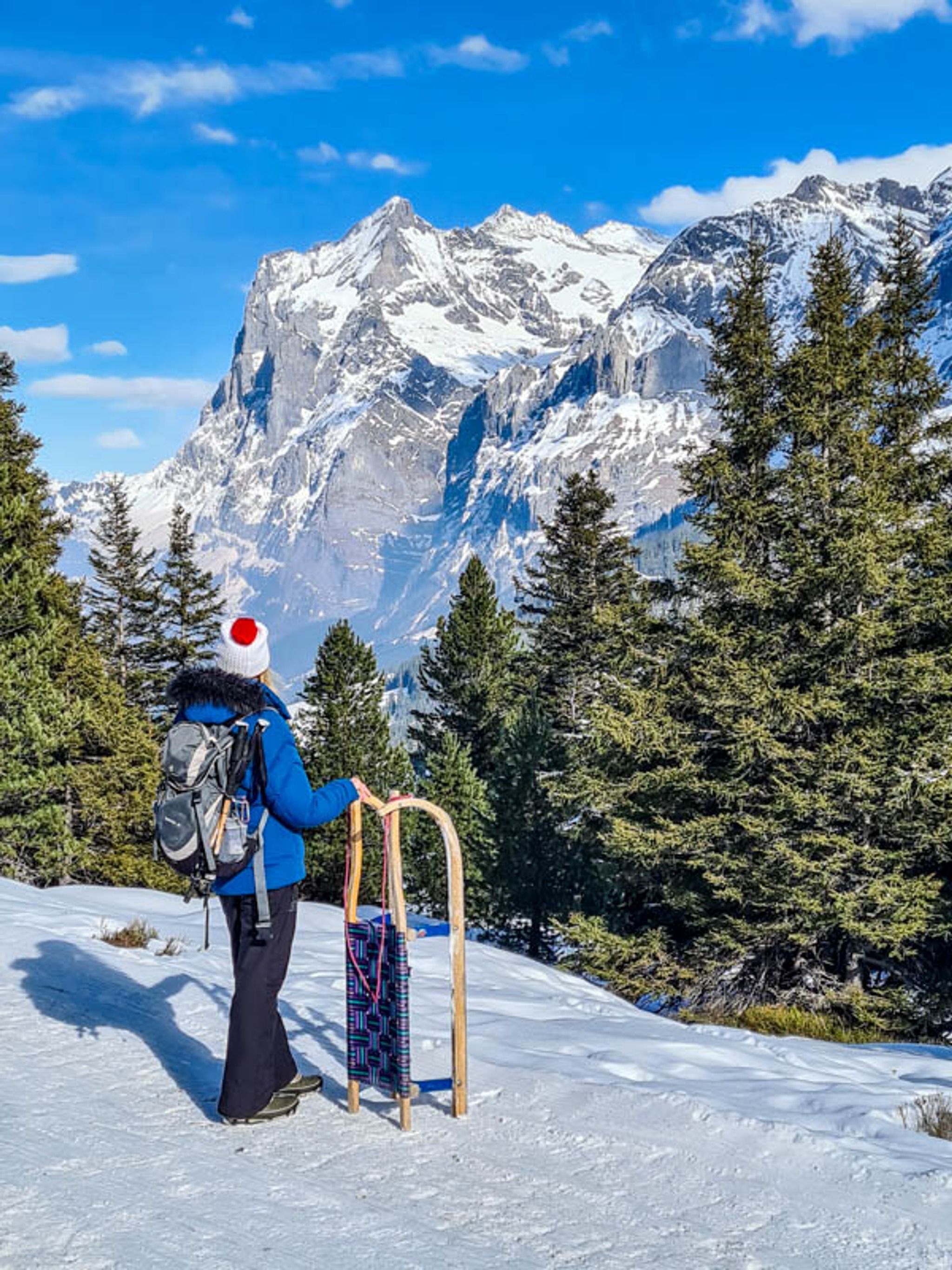 Grindelwald Eiger Sled Run & Winter Trail