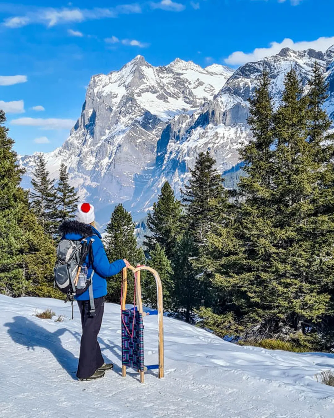 Grindelwald Eiger Sled Run & Winter Trail