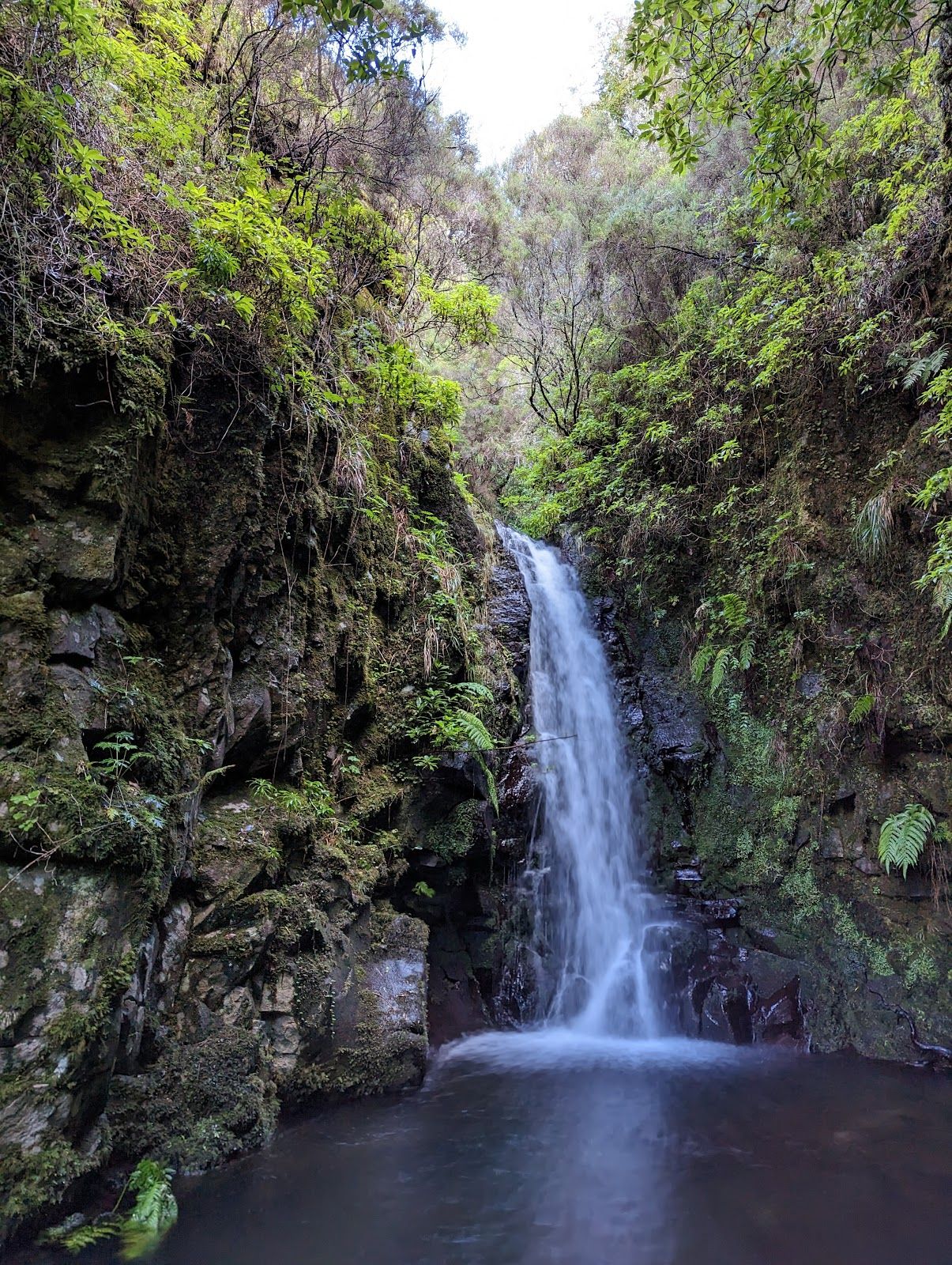 Levada da Rocha Vermelha