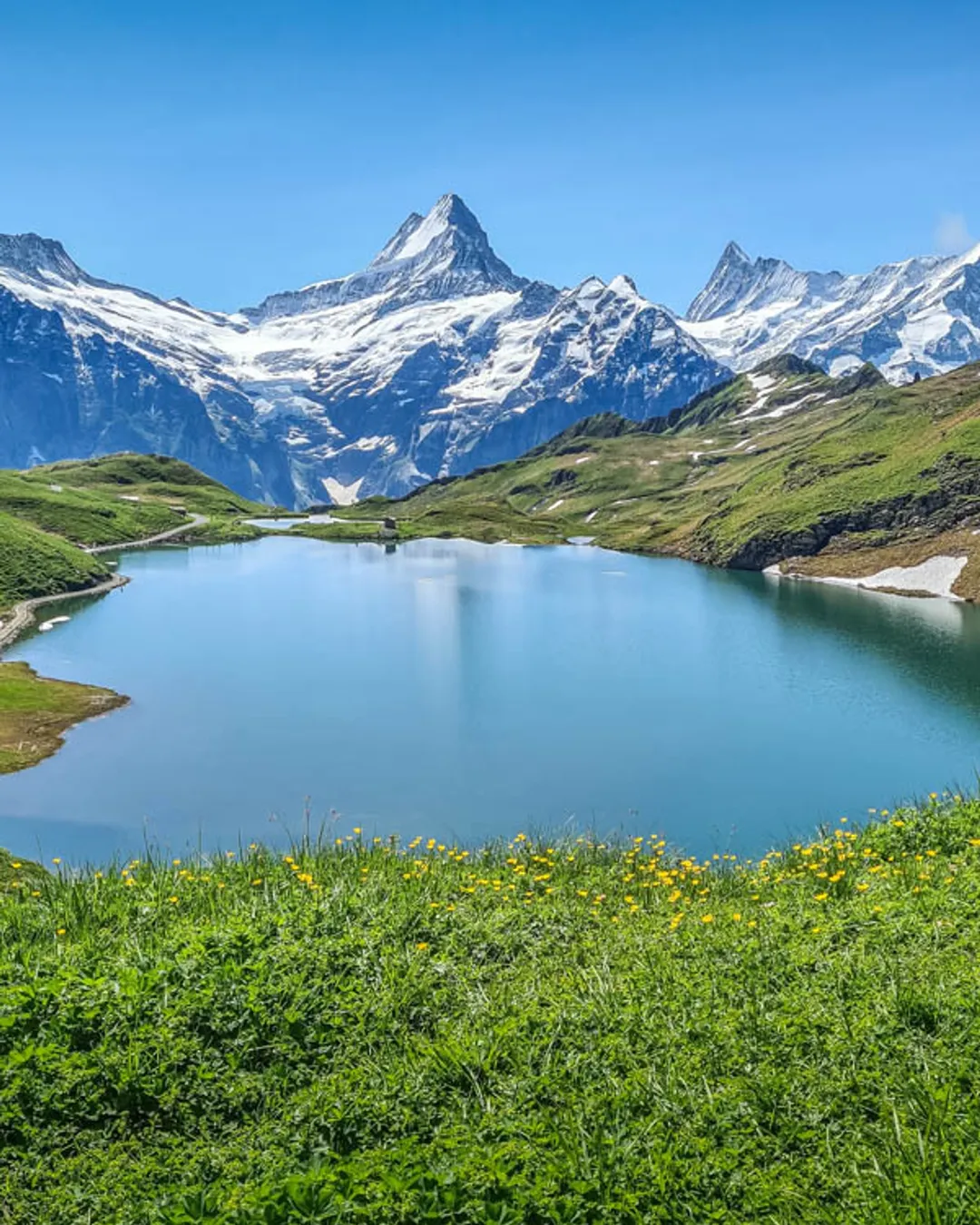 Bachalpsee Lake Hike - Switzerland - Rexby