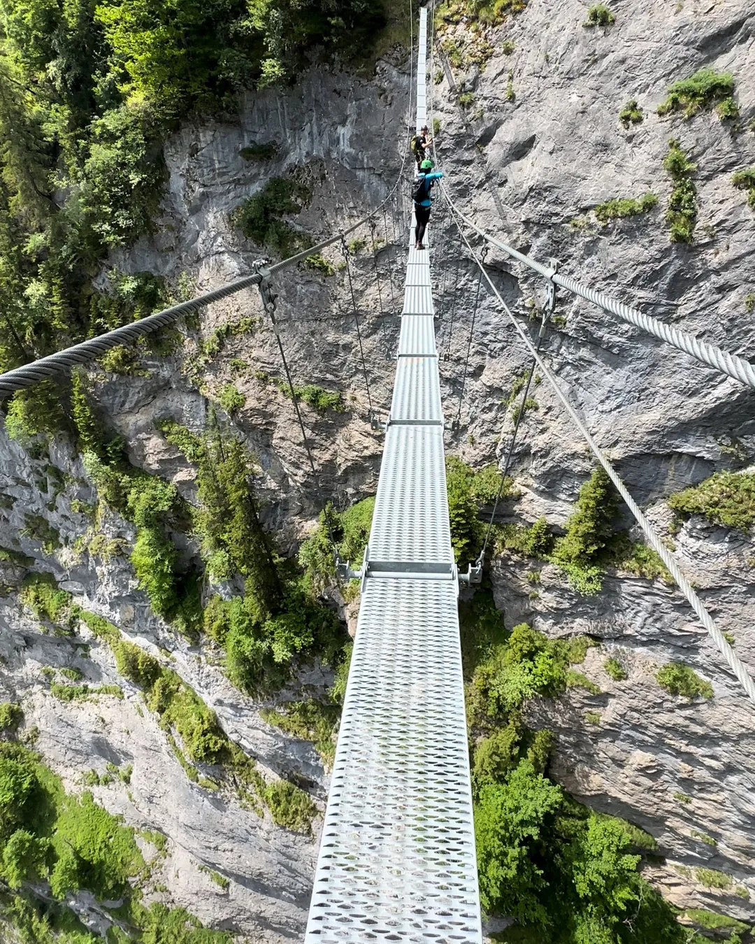 Mürren (Klettersteig ≈ 1650 M.ü.M.)