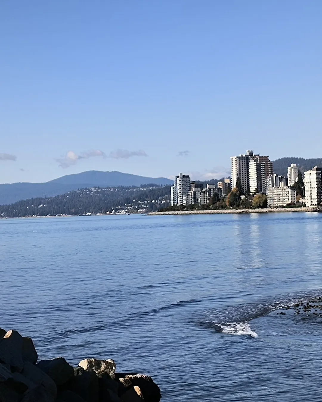 Ambleside Park | West Vancouver