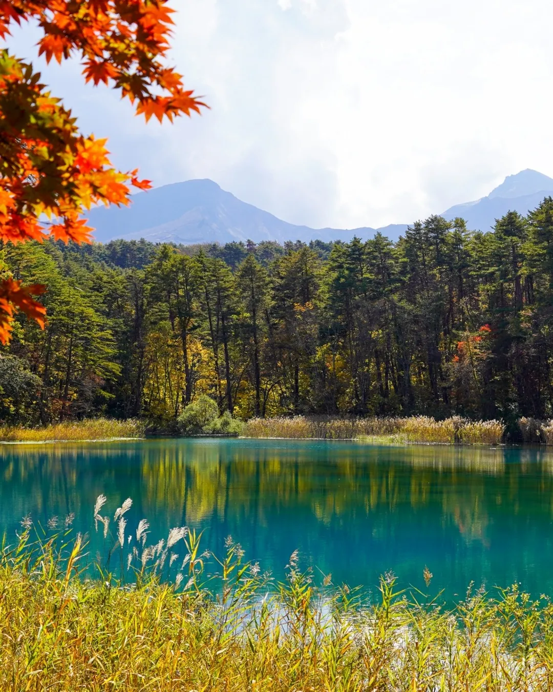 Goshikinuma Ponds