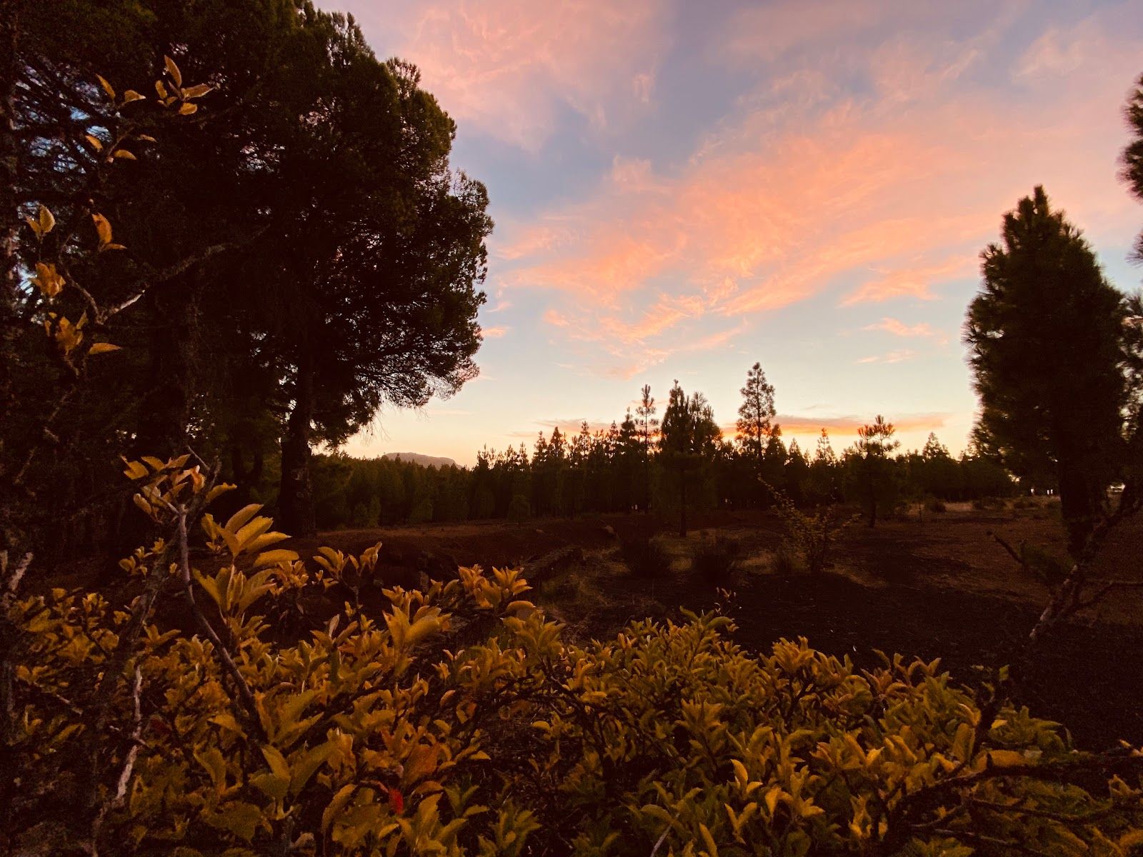 Zona di Camping Llanos de la Pez