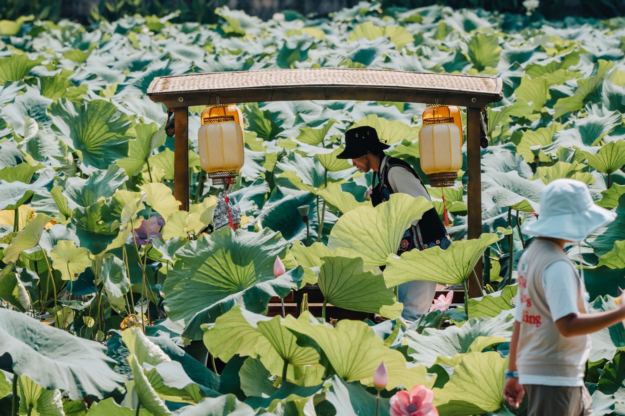 🪷 Green Lake Park in Kunming