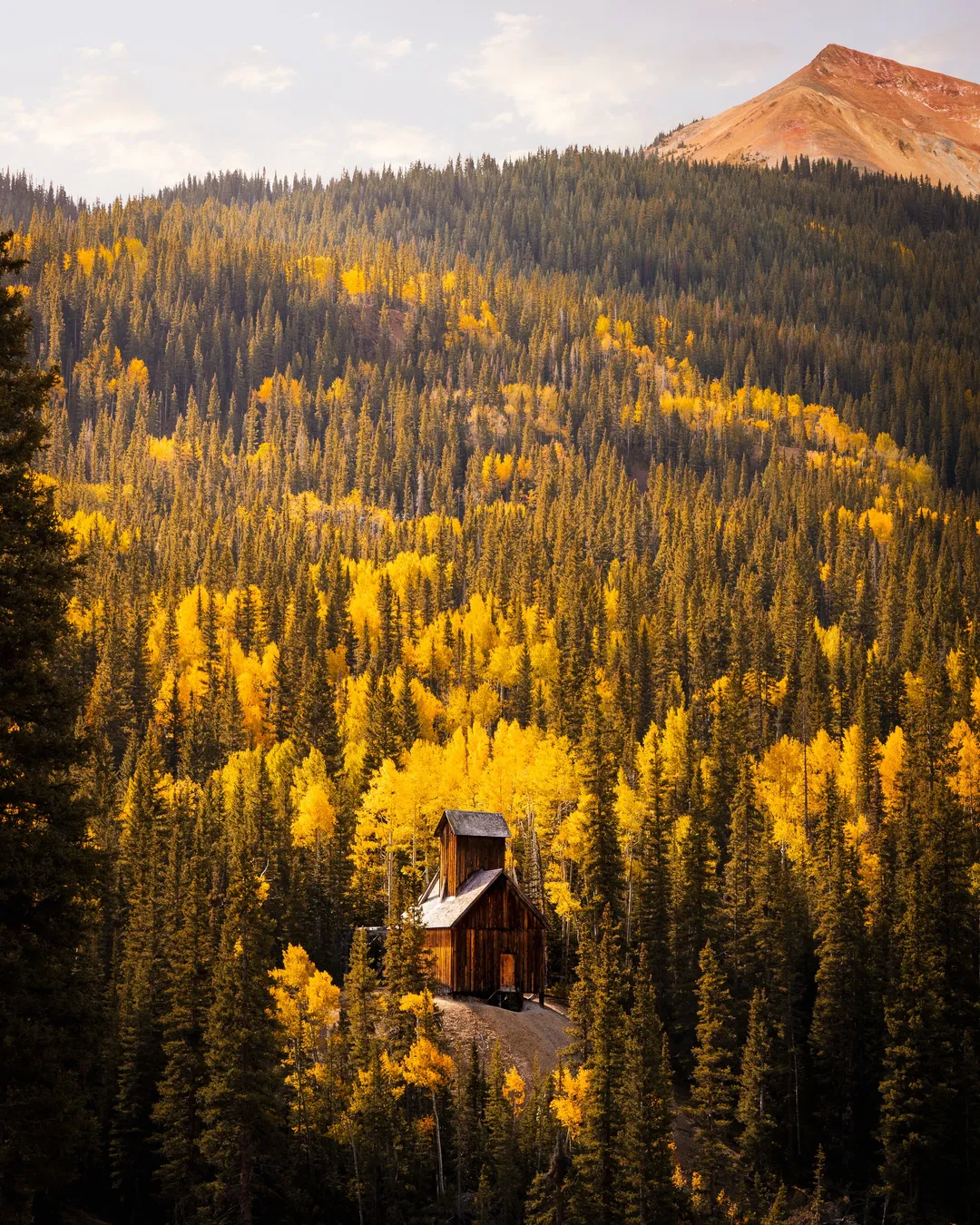 Colorado Boy Mine