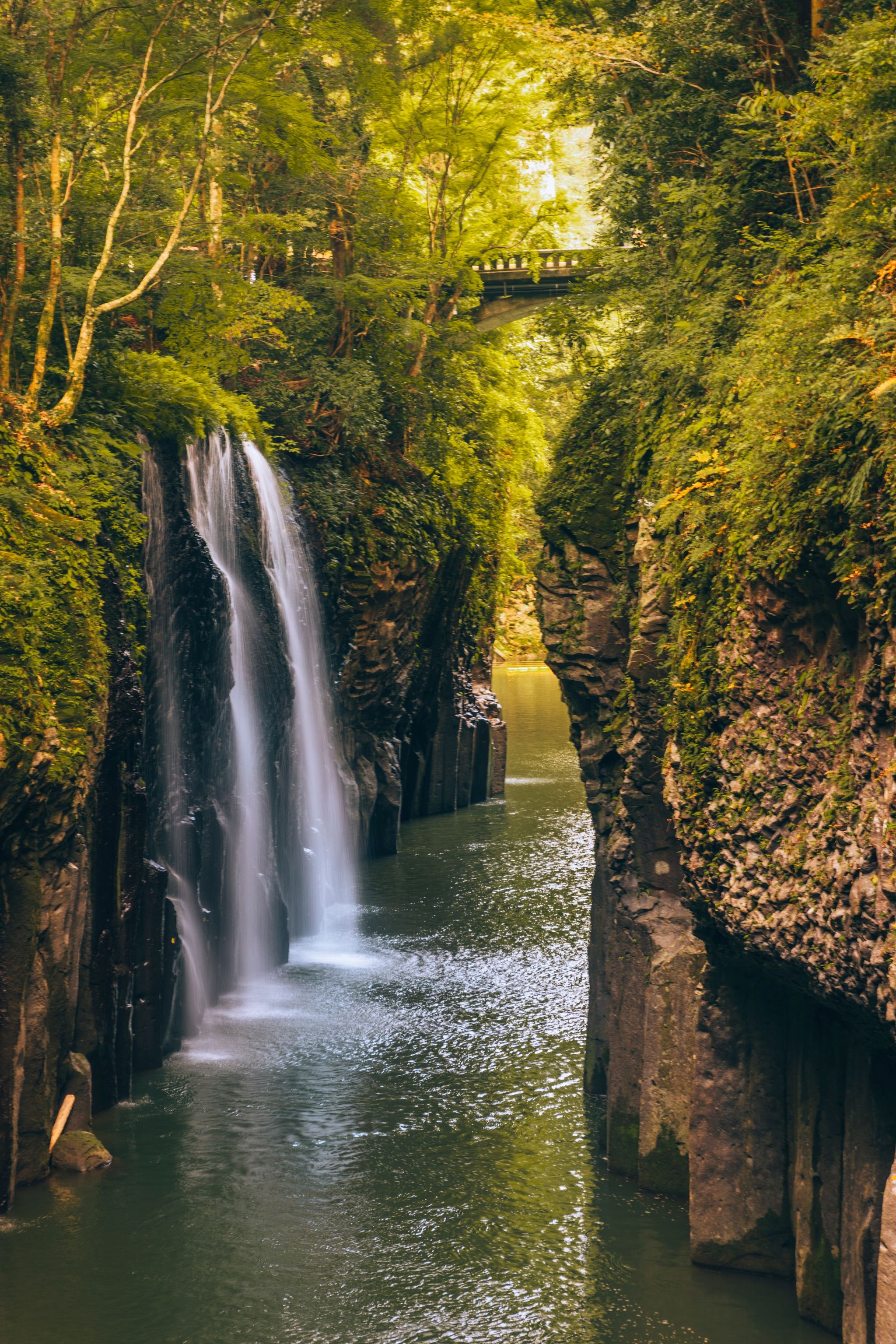 秘瀑 : 台高山脈珠玉の渓 秘瀑 : 台高山脈珠玉の渓