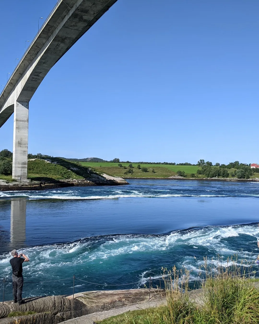 Viewpoint Saltstraumen