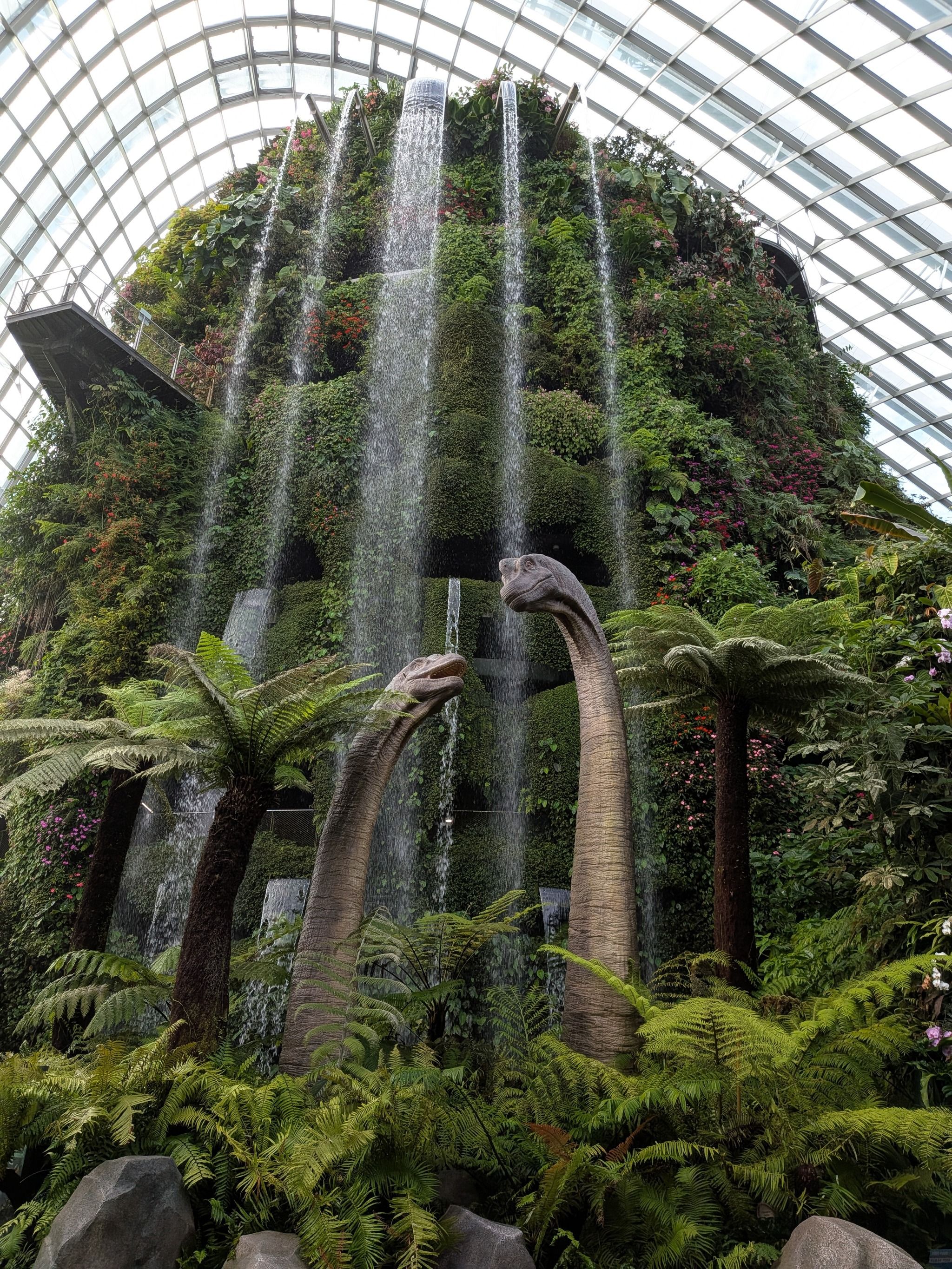 Cloud Forest